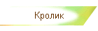 Кролик