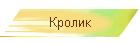 Кролик